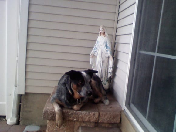 Guarding the Blessed Mother !