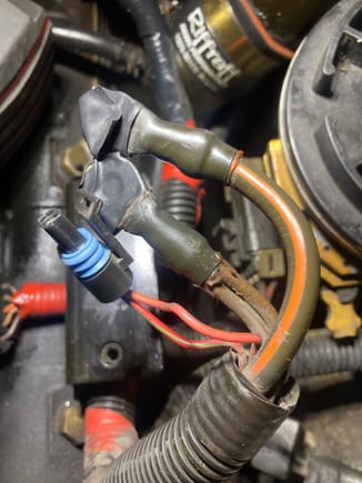 Main power lead, glow plug power out (center) and factory pigtail with orange wire and red/green stripe wire. 

Looking for help with orientation of wiring these to new WR relay. 