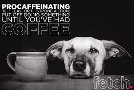 Procaffeinating, the perfect word to describe the start of the day.