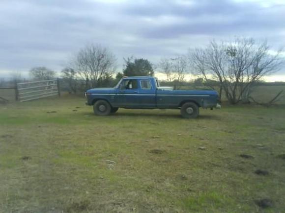 down on the ranch in bastrop county