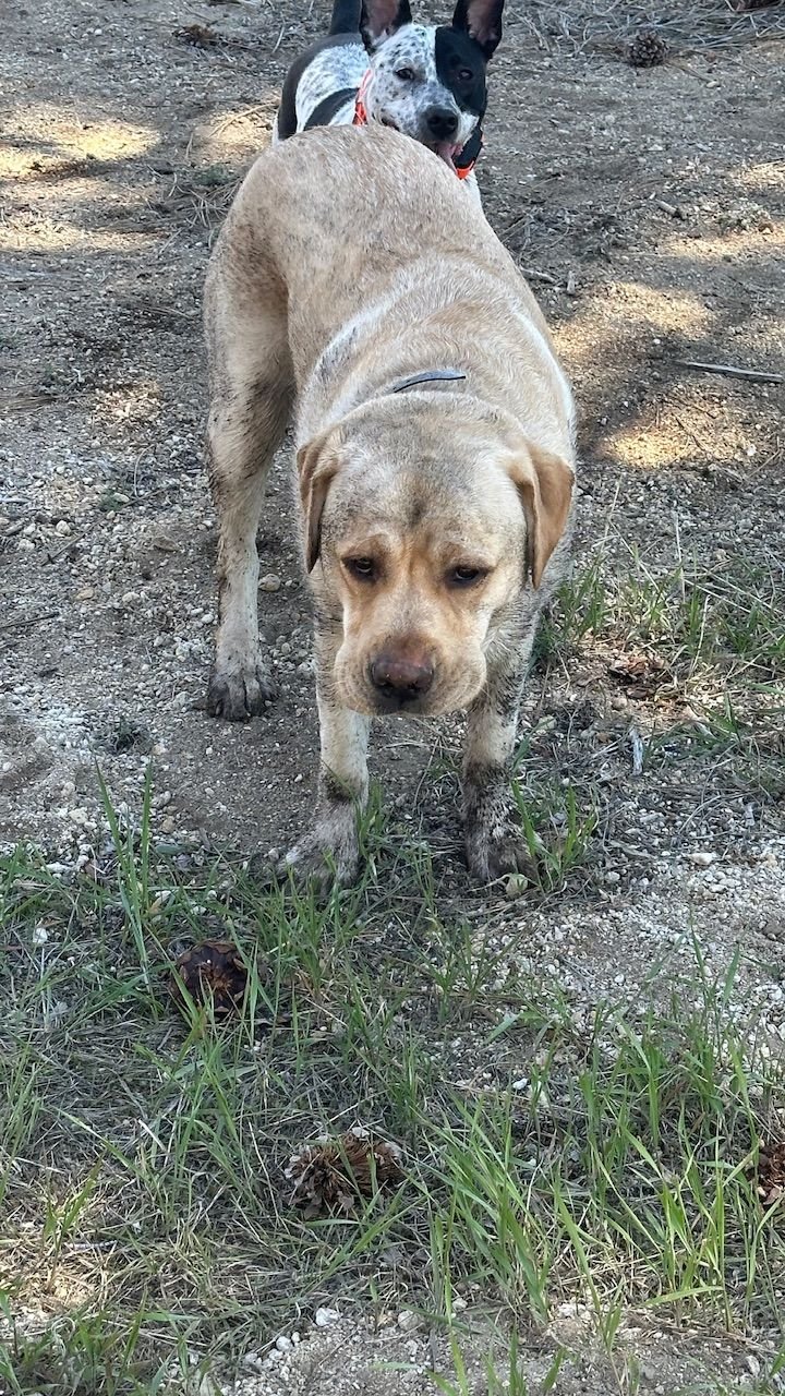 What da ya mean I can’t play in the mud?