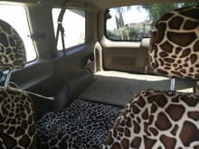 Awesome giraffe custom interior