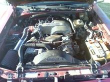 5.0 HO 250 Horse Power