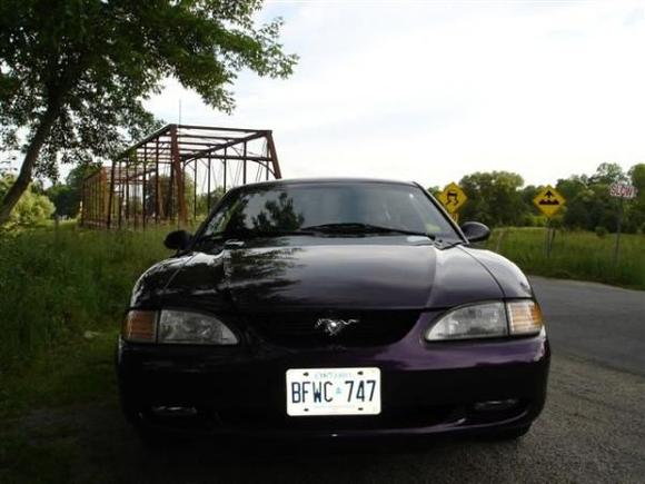mustang mikes 007