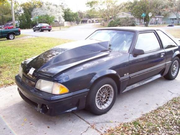 Blue Mustang 009