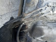 Burnt lines replacement, where those lines go to? Only about 6 connections needed. Purge line on box, I believe goto connect at back of engine