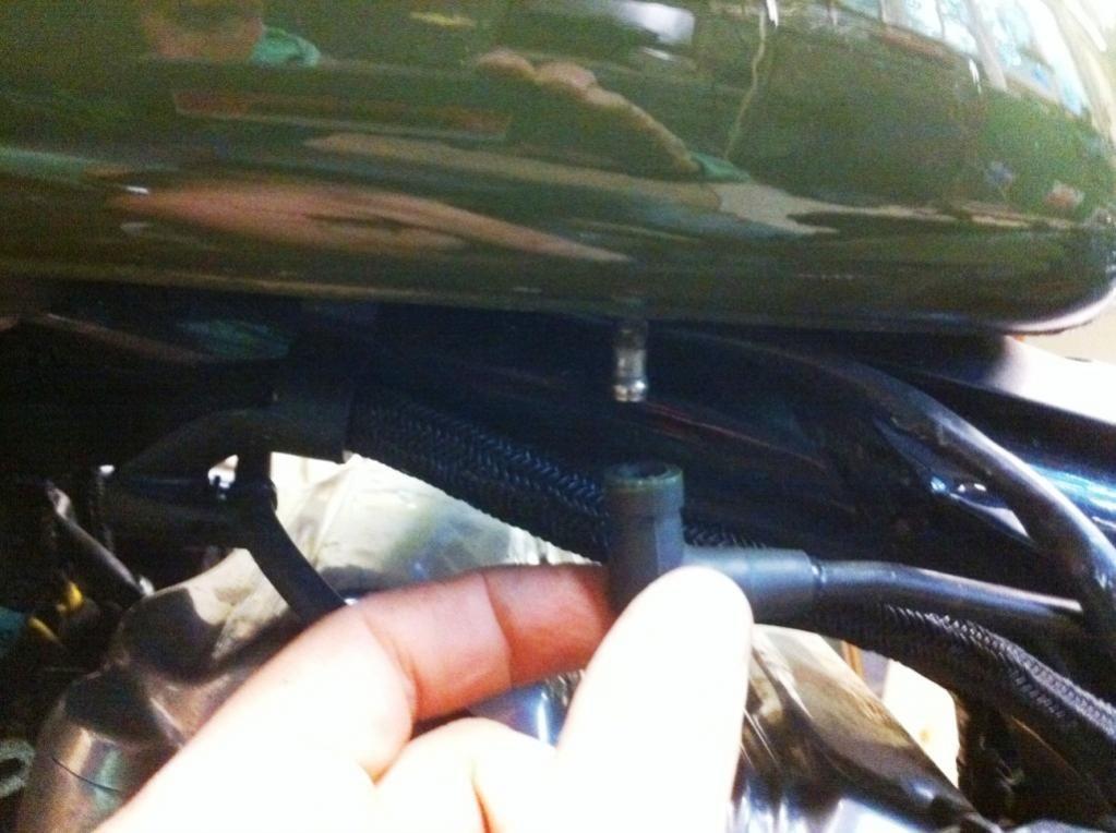 New Iron 883 Gas cap Harley Davidson Forums