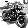 FatBoy_Lo's Stuff