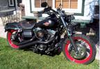2006 Street Bob & Friends