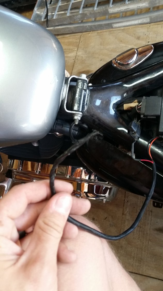 Help me identify which wires these are? - Harley Davidson Forums