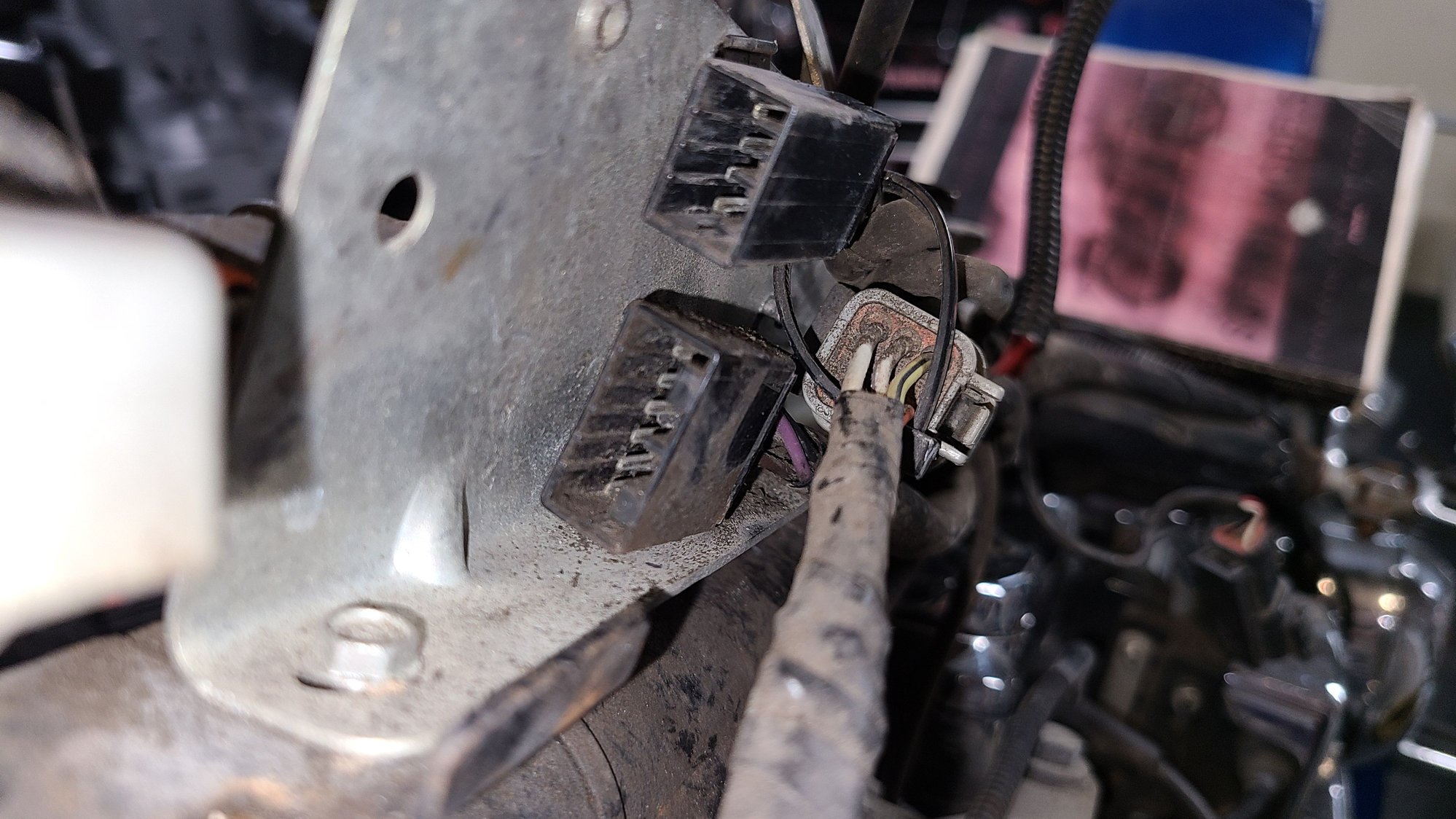 Turn signal wiring harness - Harley Davidson Forums