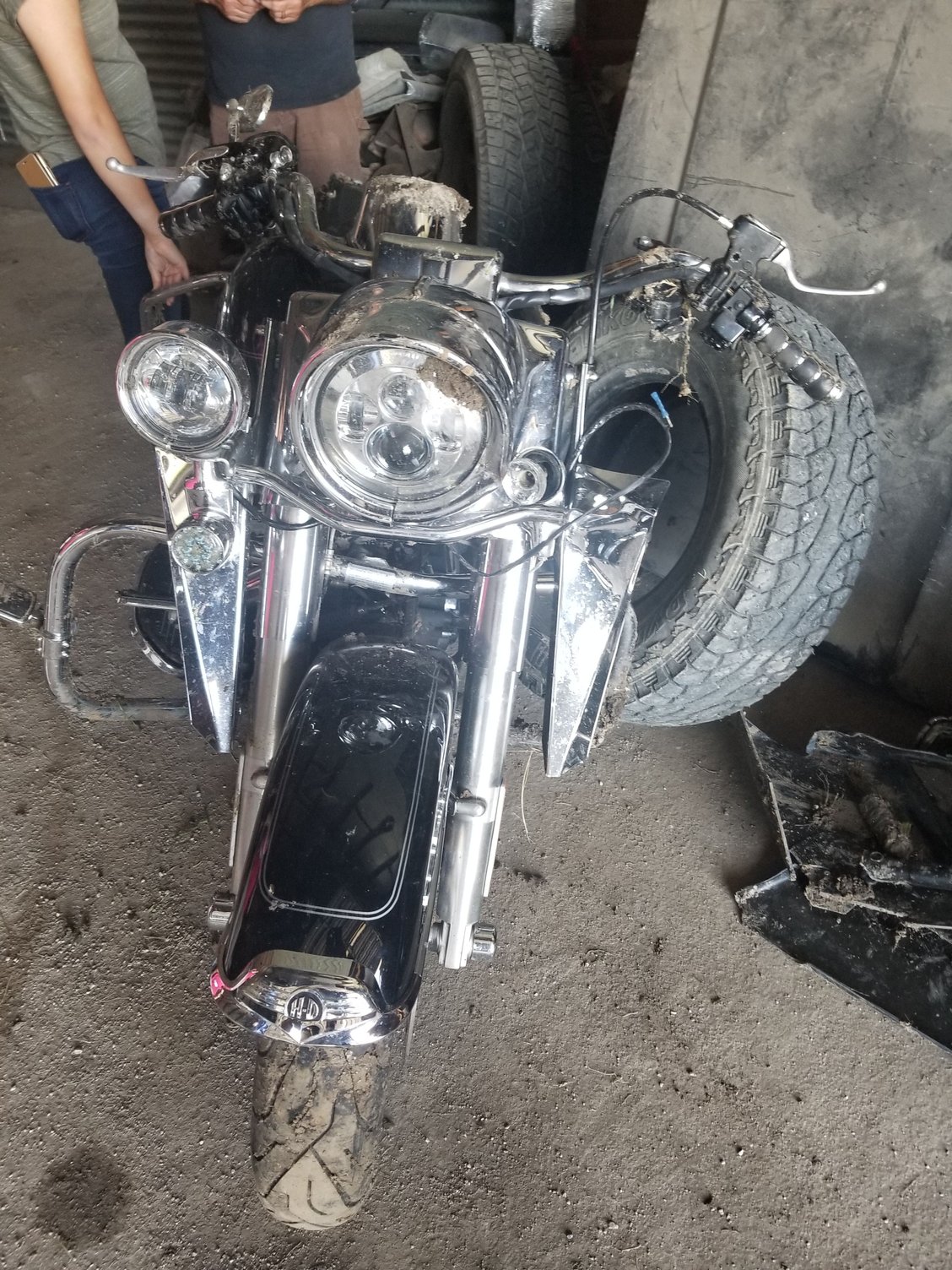 Oh Deer Page 3 Harley Davidson Forums