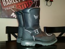 Never knew they were reflective until taking this pic