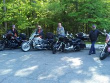 Cougars 2018 (Catch & Release)