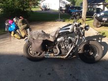 I love this bike. Fits my ridding style whether im ridding ti work, on a weekend run, or traveling. I guess everybody has a different comfort zone. Live the sportster!!