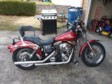 Trixie, My new backup Scoot