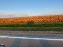 Back in Illinois.