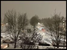 … I moved here to get away from this shit…