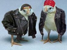 The place iz fulla posers!!!