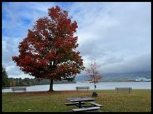 At Brockton Point, Looking towards the Lions Gate bridge…