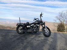 2011 FXDB