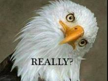 You can't go find out and for yourself?