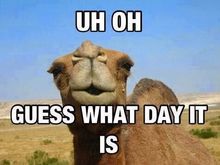 SATURDAY!!!! and PAYDAY!!! for some old folks.