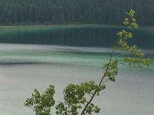 Emerald Lake by Carcross