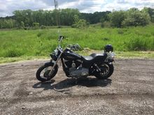 2009 Street Bob