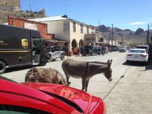 One of my visits to Oatman