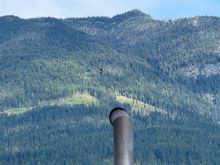 Osprey just above the exhaust stack 