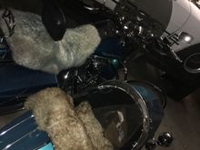 1995 FLHR & Liberty Sidecar