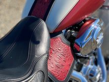 Tank bib and Heat Shield w/ Burgundy Alligator embossed leather overlay