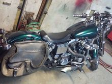 My Dyna's new look