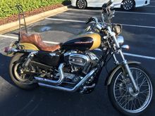 New Sissy Bar