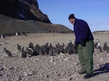 Antarctica.....tagging baby penguins, of course. What else would I be doing?
