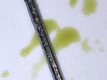 This is what came up on my dipstick. !0 minutes earliar this was brand new 50wt. What the hell?