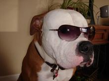 Cool M*therf*cker!