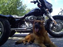 My Side Kick!   Otto