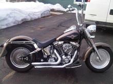 IMG00347 20110301 1613[1]