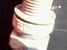 sp3