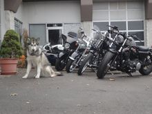 Poser!