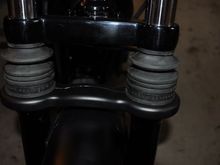 Gator after Burly Slammer/Superbrace install