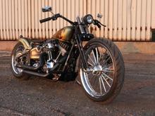 Thunderbike CCE Softtail Blackline
