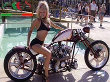 Hot Chicks