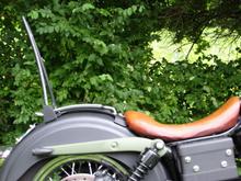 Custom Sissy Bar and Plug and Play style Bracket