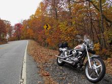 mtn fall view suches