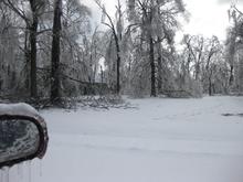 Western KY Ice Storm 2009