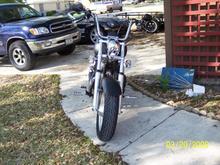 2008 street bob front