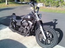 2006 Street Bob